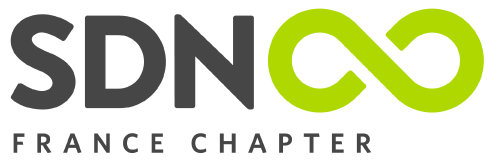 Logo Service Design Network France